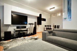 Living room in basemenet with sofa and TV